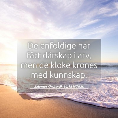 Picture 05 - Salomos Ordspråk 14:18 NORSK - De enfoldige har fått dårskap i arv, men de - Bible Verse Picture