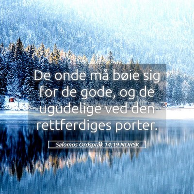 Picture 05 - Salomos Ordspråk 14:19 NORSK - De onde må bøie sig for de gode, og de - Bible Verse Picture