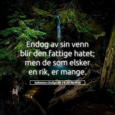 Picture 05 - Salomos Ordspråk 14:20 NORSK - Endog av sin venn blir den fattige hatet; men de - Bible Verse Picture