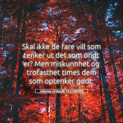 Picture 05 - Salomos Ordspråk 14:22 NORSK - Skal ikke de fare vill som tenker ut det som ondt - Bible Verse Picture