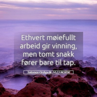 Picture 05 - Salomos Ordspråk 14:23 NORSK - Ethvert møiefullt arbeid gir vinning, men tomt - Bible Verse Picture