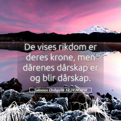 Picture 05 - Salomos Ordspråk 14:24 NORSK - De vises rikdom er deres krone, men dårenes - Bible Verse Picture