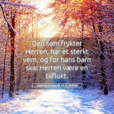 Picture 05 - Salomos Ordspråk 14:26 NORSK - Den som frykter Herren, har et sterkt vern, og - Bible Verse Picture