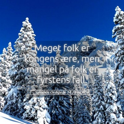 Picture 05 - Salomos Ordspråk 14:28 NORSK - Meget folk er kongens ære, men mangel på folk - Bible Verse Picture