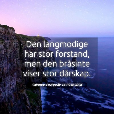 Picture 05 - Salomos Ordspråk 14:29 NORSK - Den langmodige har stor forstand, men den - Bible Verse Picture