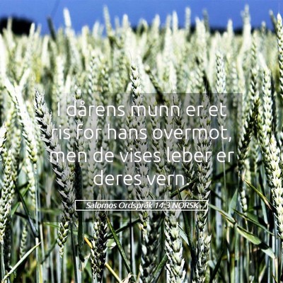 Picture 05 - Salomos Ordspråk 14:3 NORSK - I dårens munn er et ris for hans overmot, men de - Bible Verse Picture