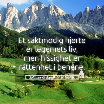 Picture 05 - Salomos Ordspråk 14:30 NORSK - Et saktmodig hjerte er legemets liv, men - Bible Verse Picture