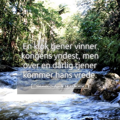 Picture 05 - Salomos Ordspråk 14:35 NORSK - En klok tjener vinner kongens yndest, men over en - Bible Verse Picture