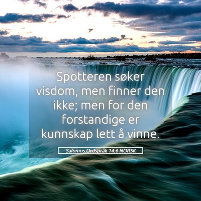 Picture 05 - Salomos Ordspråk 14:6 NORSK - Spotteren søker visdom, men finner den ikke; men - Bible Verse Picture