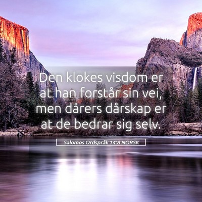 Picture 05 - Salomos Ordspråk 14:8 NORSK - Den klokes visdom er at han forstår sin vei, men - Bible Verse Picture