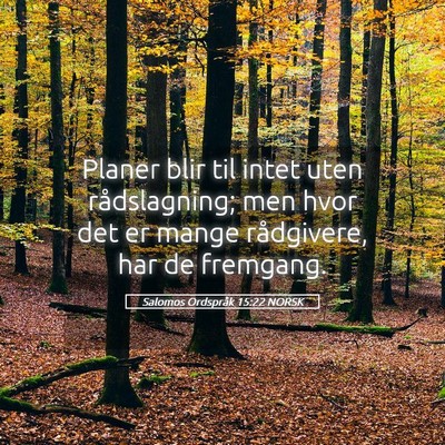 Picture 05 - Salomos Ordspråk 15:22 NORSK - Planer blir til intet uten rådslagning; men hvor - Bible Verse Picture