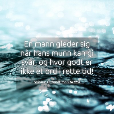 Picture 05 - Salomos Ordspråk 15:23 NORSK - En mann gleder sig når hans munn kan gi svar, og - Bible Verse Picture