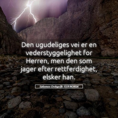 Picture 05 - Salomos Ordspråk 15:9 NORSK - Den ugudeliges vei er en vederstyggelighet for - Bible Verse Picture