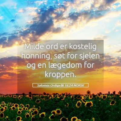 Picture 05 - Salomos Ordspråk 16:24 NORSK - Milde ord er kostelig honning, søt for sjelen og - Bible Verse Picture