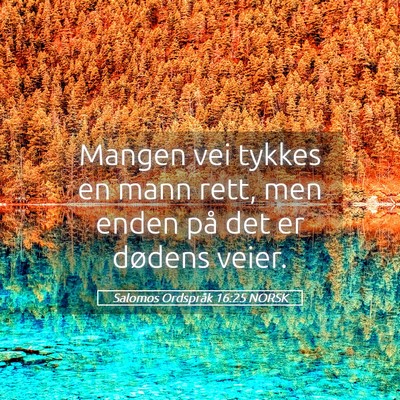 Picture 05 - Salomos Ordspråk 16:25 NORSK - Mangen vei tykkes en mann rett, men enden på det - Bible Verse Picture