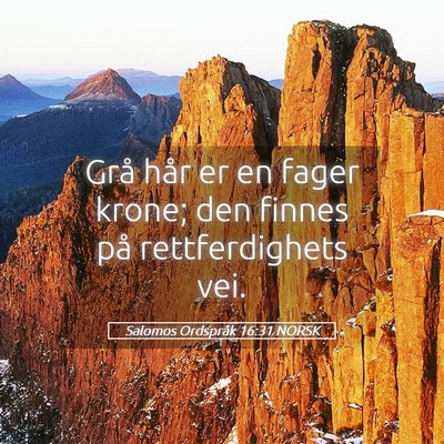 Picture 05 - Salomos Ordspråk 16:31 NORSK - Grå hår er en fager krone; den finnes på - Bible Verse Picture