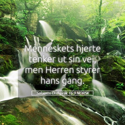 Picture 05 - Salomos Ordspråk 16:9 NORSK - Menneskets hjerte tenker ut sin vei, men Herren - Bible Verse Picture