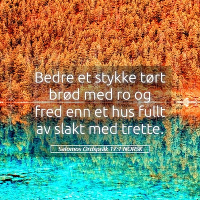 Picture 05 - Salomos Ordspråk 17:1 NORSK - Bedre et stykke tørt brød med ro og fred enn et - Bible Verse Picture