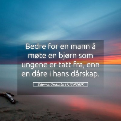 Picture 05 - Salomos Ordspråk 17:12 NORSK - Bedre for en mann å møte en bjørn som ungene - Bible Verse Picture