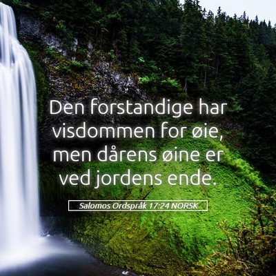 Picture 05 - Salomos Ordspråk 17:24 NORSK - Den forstandige har visdommen for øie, men - Bible Verse Picture