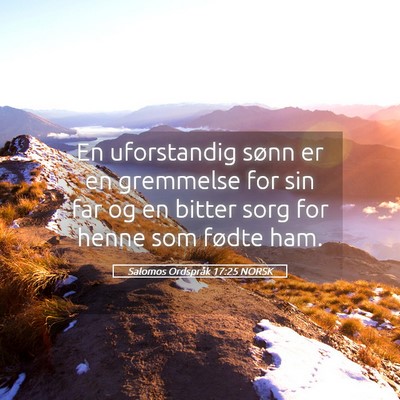 Picture 05 - Salomos Ordspråk 17:25 NORSK - En uforstandig sønn er en gremmelse for sin far - Bible Verse Picture