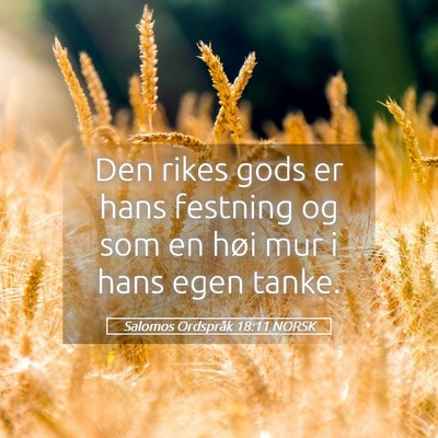 Picture 05 - Salomos Ordspråk 18:11 NORSK - Den rikes gods er hans festning og som en høi - Bible Verse Picture
