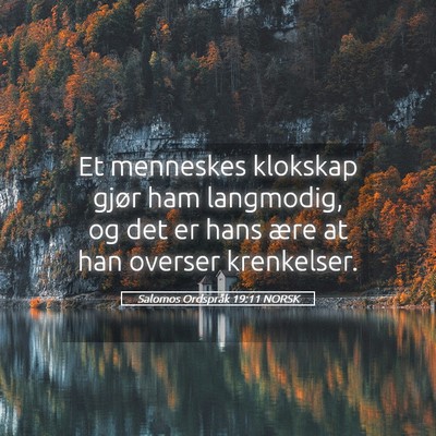 Picture 05 - Salomos Ordspråk 19:11 NORSK - Et menneskes klokskap gjør ham langmodig, og det - Bible Verse Picture