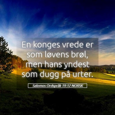 Picture 05 - Salomos Ordspråk 19:12 NORSK - En konges vrede er som løvens brøl, men hans - Bible Verse Picture