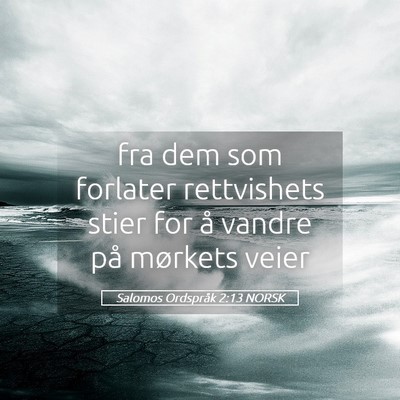 Picture 05 - Salomos Ordspråk 2:13 NORSK - fra dem som forlater rettvishets stier for å - Bible Verse Picture
