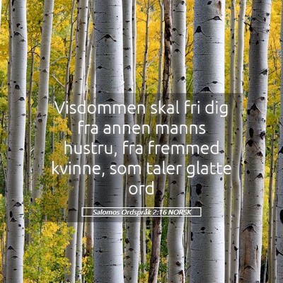 Picture 05 - Salomos Ordspråk 2:16 NORSK - Visdommen skal fri dig fra annen manns hustru, - Bible Verse Picture