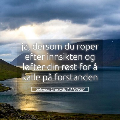 Picture 05 - Salomos Ordspråk 2:3 NORSK - ja, dersom du roper efter innsikten og løfter - Bible Verse Picture