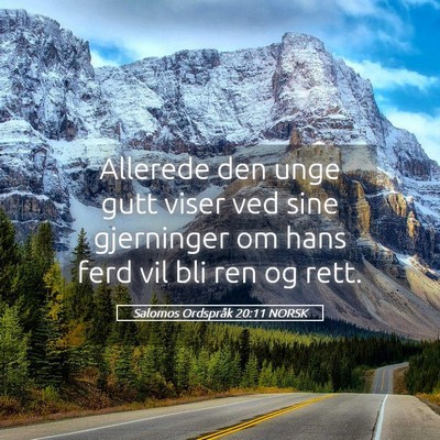 Picture 05 - Salomos Ordspråk 20:11 NORSK - Allerede den unge gutt viser ved sine gjerninger - Bible Verse Picture