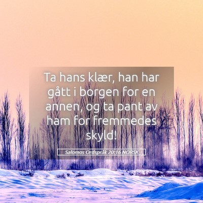 Picture 05 - Salomos Ordspråk 20:16 NORSK - Ta hans klær, han har gått i borgen for en - Bible Verse Picture