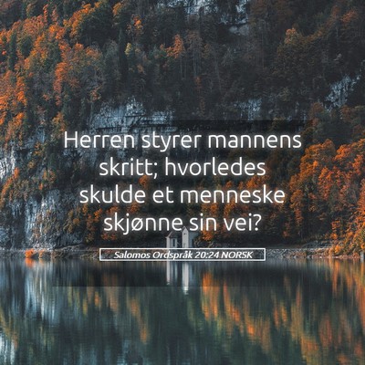 Picture 05 - Salomos Ordspråk 20:24 NORSK - Herren styrer mannens skritt; hvorledes skulde et - Bible Verse Picture