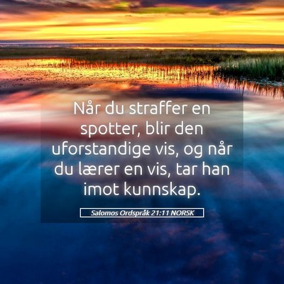 Picture 05 - Salomos Ordspråk 21:11 NORSK - Når du straffer en spotter, blir den - Bible Verse Picture