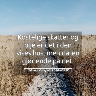 Picture 05 - Salomos Ordspråk 21:20 NORSK - Kostelige skatter og olje er det i den vises hus, - Bible Verse Picture