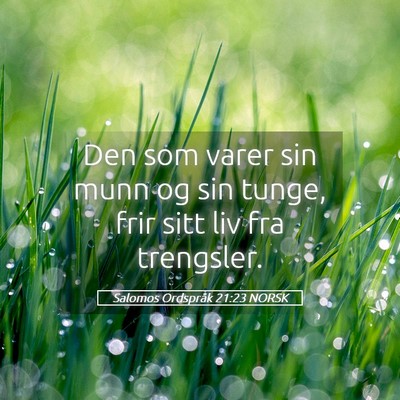 Picture 05 - Salomos Ordspråk 21:23 NORSK - Den som varer sin munn og sin tunge, frir sitt - Bible Verse Picture