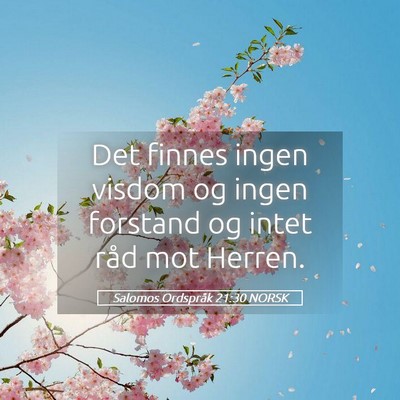 Picture 05 - Salomos Ordspråk 21:30 NORSK - Det finnes ingen visdom og ingen forstand og - Bible Verse Picture