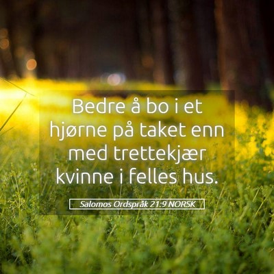 Picture 05 - Salomos Ordspråk 21:9 NORSK - Bedre å bo i et hjørne på taket enn med - Bible Verse Picture