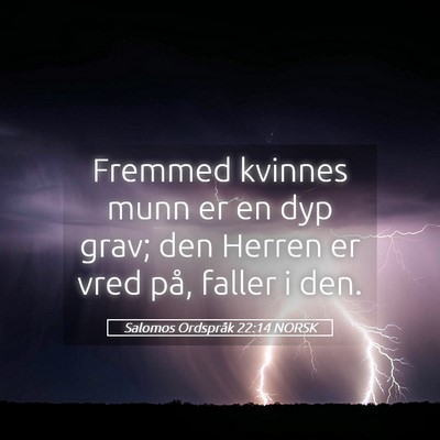 Picture 05 - Salomos Ordspråk 22:14 NORSK - Fremmed kvinnes munn er en dyp grav; den Herren - Bible Verse Picture