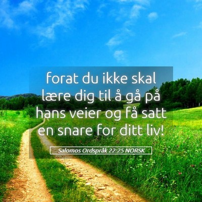 Picture 05 - Salomos Ordspråk 22:25 NORSK - forat du ikke skal lære dig til å gå på hans - Bible Verse Picture