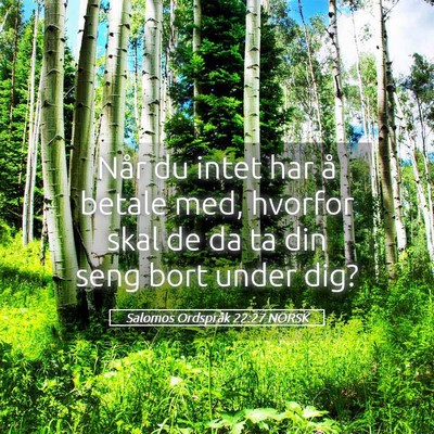 Picture 05 - Salomos Ordspråk 22:27 NORSK - Når du intet har å betale med, hvorfor skal de - Bible Verse Picture