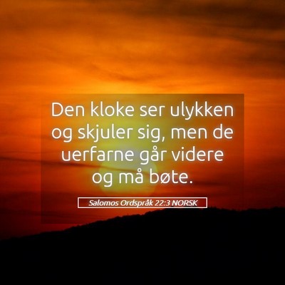 Picture 05 - Salomos Ordspråk 22:3 NORSK - Den kloke ser ulykken og skjuler sig, men de - Bible Verse Picture