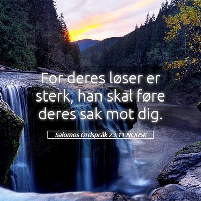 Picture 05 - Salomos Ordspråk 23:11 NORSK - For deres løser er sterk, han skal føre deres - Bible Verse Picture
