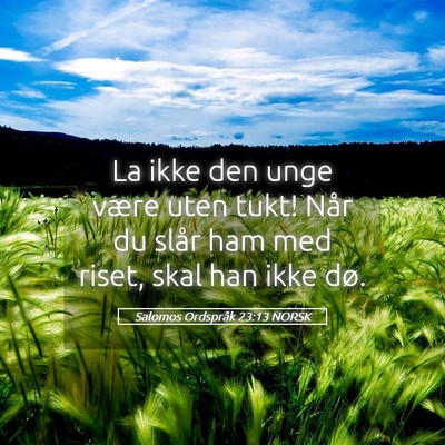 Picture 05 - Salomos Ordspråk 23:13 NORSK - La ikke den unge være uten tukt! Når du slår - Bible Verse Picture