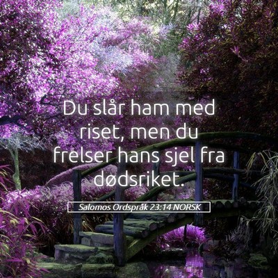Picture 05 - Salomos Ordspråk 23:14 NORSK - Du slår ham med riset, men du frelser hans sjel - Bible Verse Picture