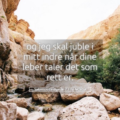 Picture 05 - Salomos Ordspråk 23:16 NORSK - og jeg skal juble i mitt indre når dine leber - Bible Verse Picture