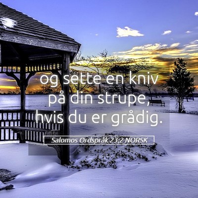 Picture 05 - Salomos Ordspråk 23:2 NORSK - og sette en kniv på din strupe, hvis du er - Bible Verse Picture