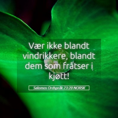 Picture 05 - Salomos Ordspråk 23:20 NORSK - Vær ikke blandt vindrikkere, blandt dem som - Bible Verse Picture