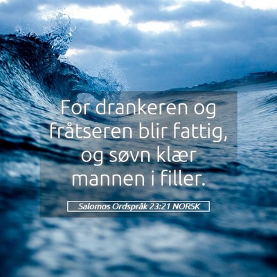 Picture 05 - Salomos Ordspråk 23:21 NORSK - For drankeren og fråtseren blir fattig, og søvn - Bible Verse Picture